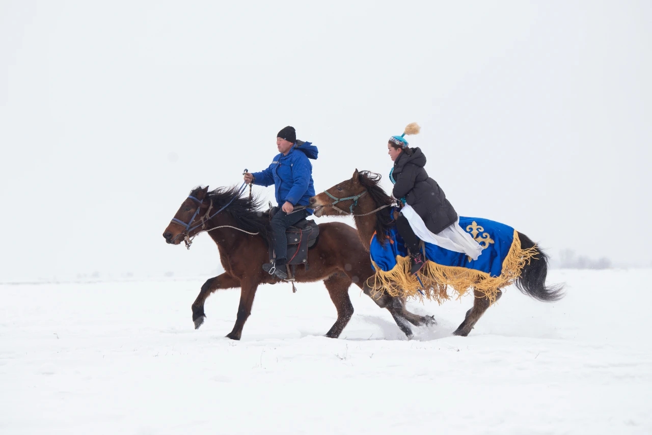 关于高原雪地橇比赛，冰雪中的速度盛宴的信息