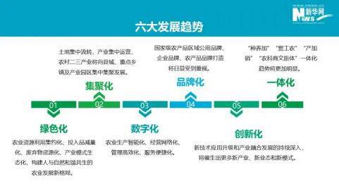 开云官网-包含中国足球产业链“补短板”行动加快，行业高质量发展的词条