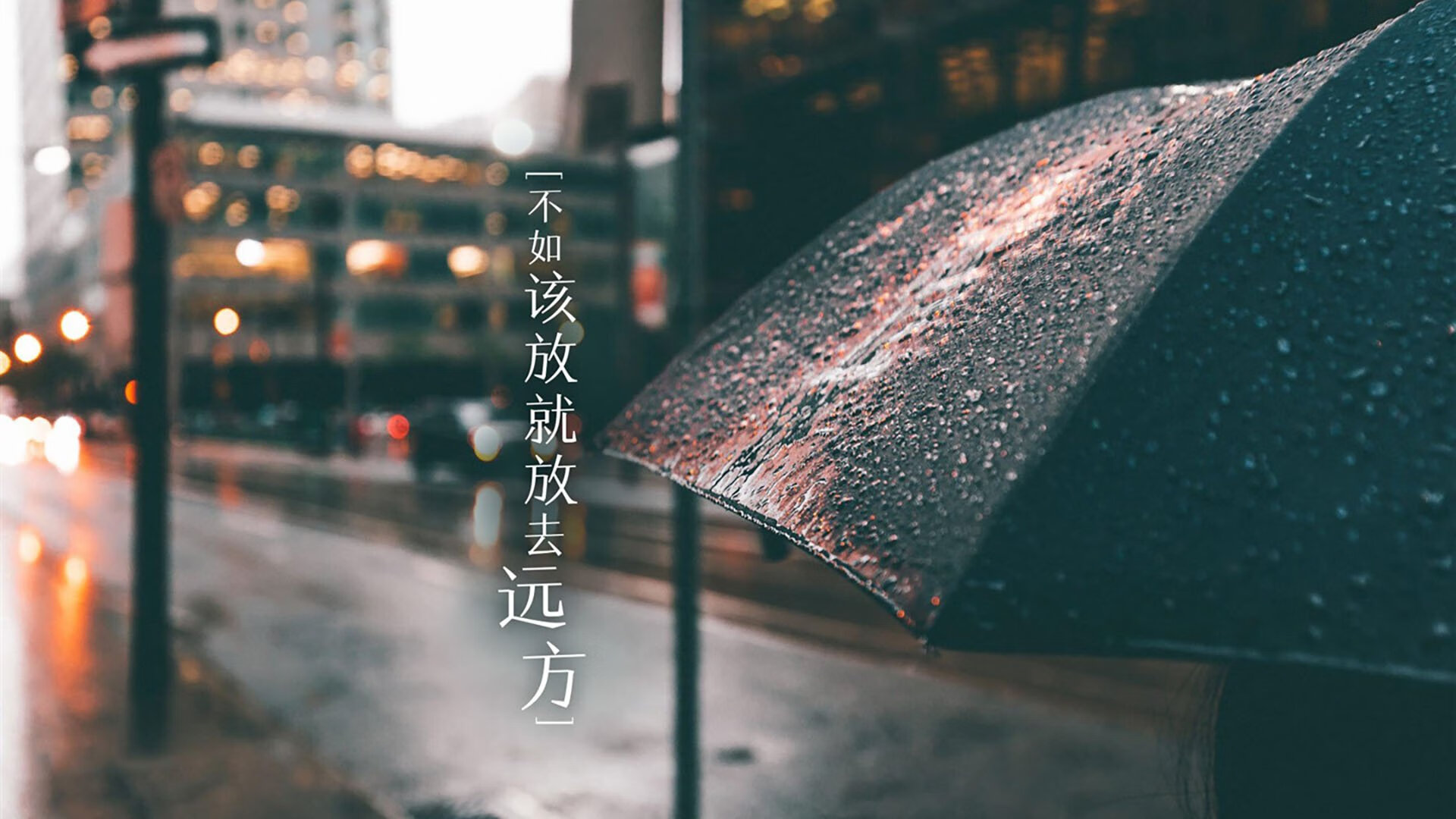 kaiyun中国官方网站-智能青训“全链条”管理平台在行业中逐步普及，行业数字化持续深入