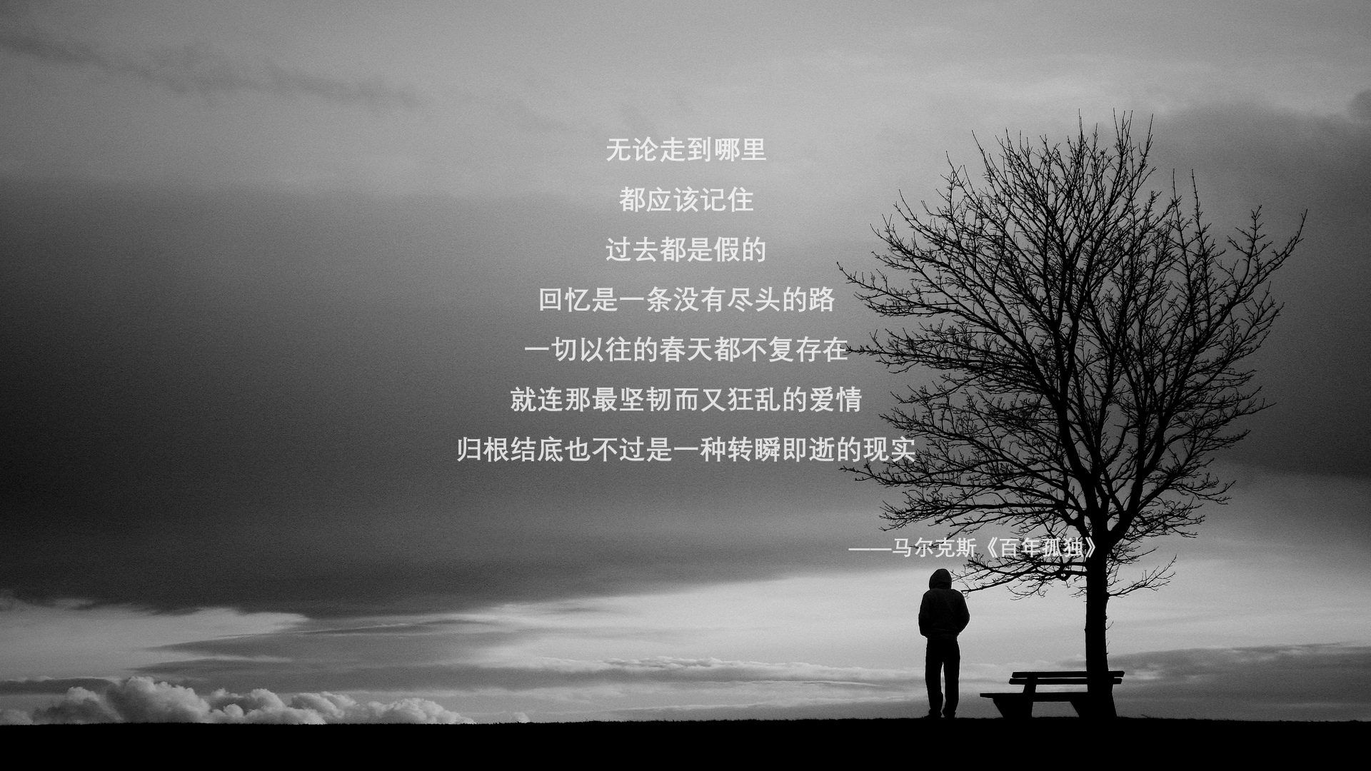 开云·体育全站登录地址-超级马里奥“速度之星”线上锦标赛高潮迭起，超级马里奥allstars