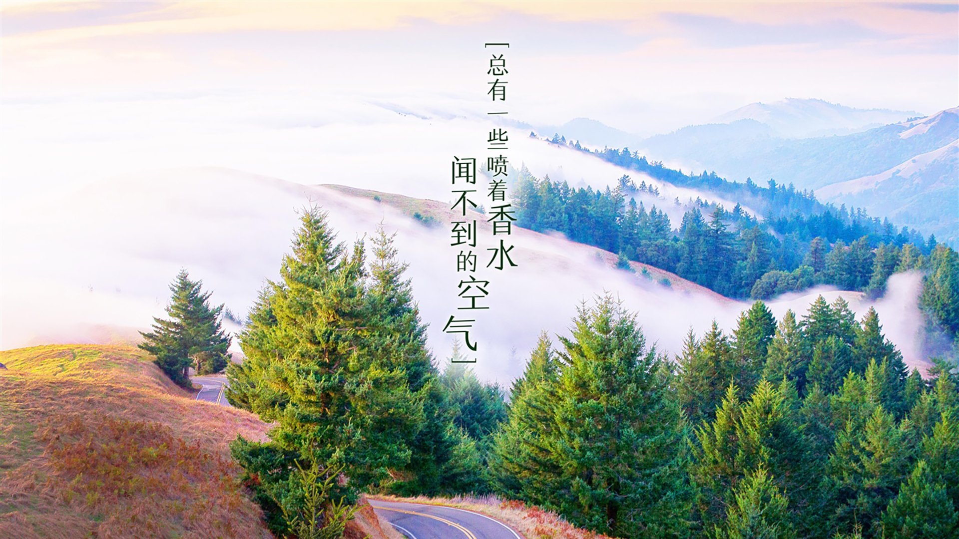 开云·体育官网-球员转型教练成功率是否值得研究，球员转教练 nba