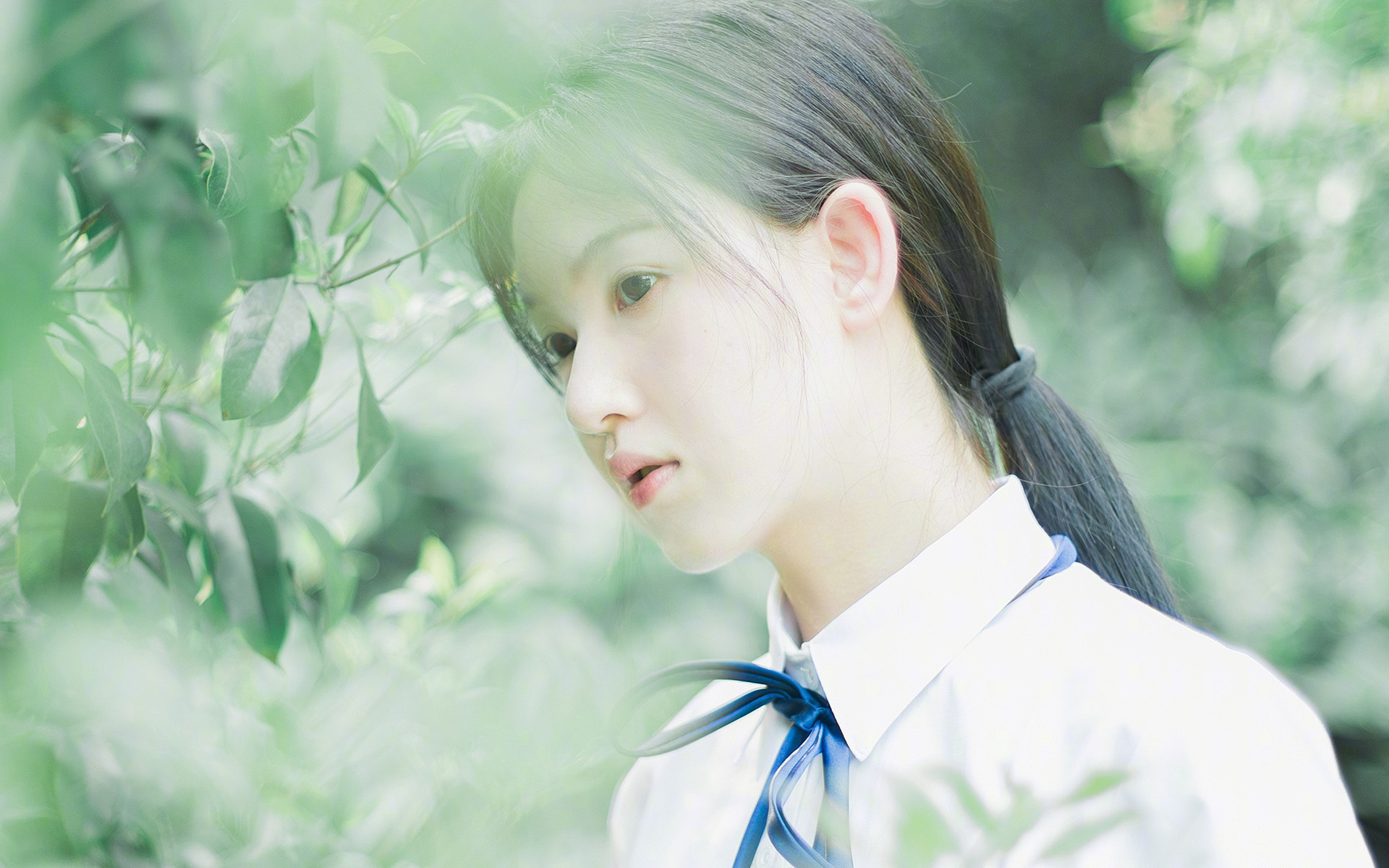 里奇·麦考:作为全黑队的防守核心,成就不可复制的橄榄球传奇